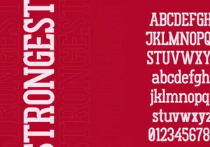 Gluttoner Slab Vintage & Bold Slab Serif