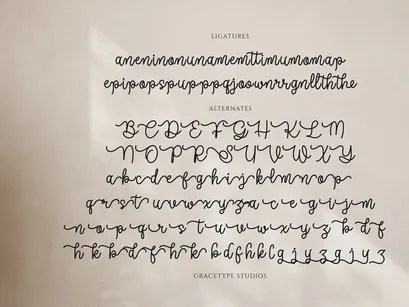 Joaguin Dignity | Monoline Script Font