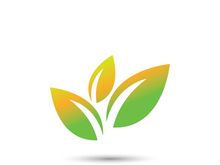 Logos of green tree leaf ecology nature element vector