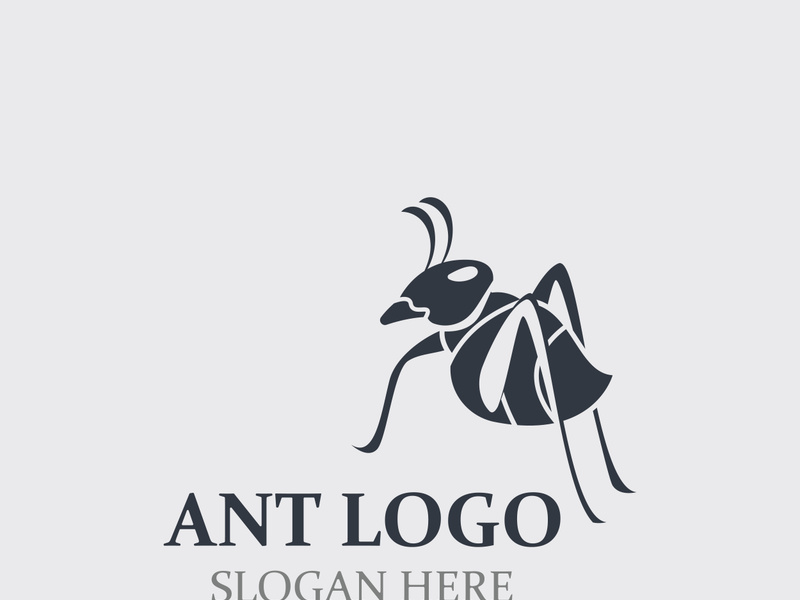 Ant logo design silhouette. Isolated animal ants on background design template vector Ant logo design silhouette. Isolated animal ants on background design template vector