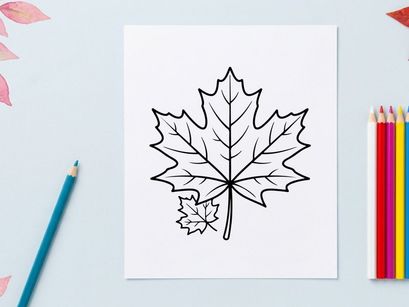 Close-up of a detailed maple leaf. Natural autumn foliage with vibrant colors.
