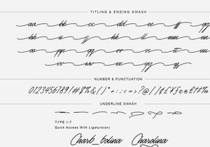 Monosign - Monoline Signature Font