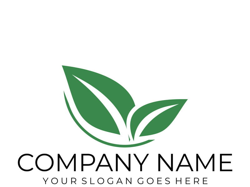 Green leaf logo design vector illustration