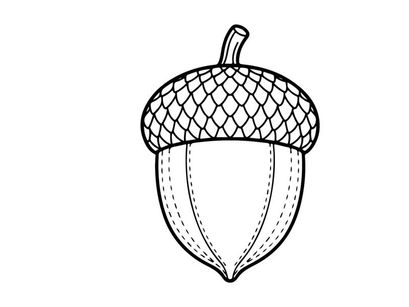 Hand-drawn acorn illustration for nature or autumn themes. Artistic botanical sketch for educational or design projects.