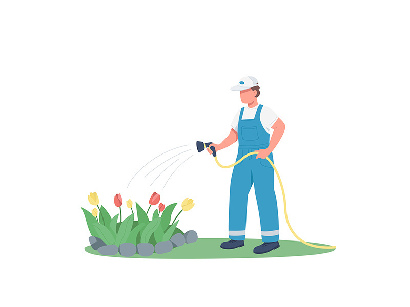 Gardener watering flowerbed flat color vector faceless character