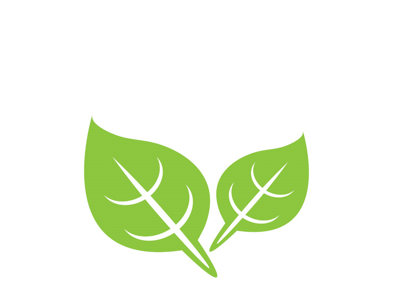 Leaf logo vector icon design template
