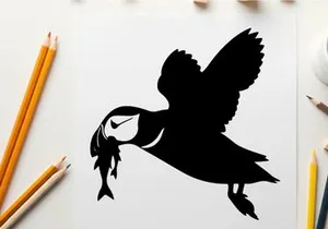 Silhouette of a puffin flying with a fish in its beak outdoors
