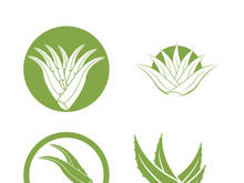Aloe Vera logo icon design symbol beauty skin care