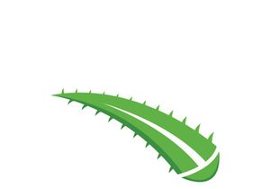 Aloe Vera logo icon design symbol beauty skin care