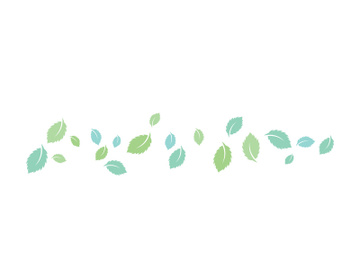 Mint Leaf icon template  illustration preview picture