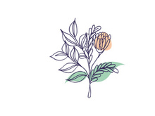 Line Art Flower, Wall Art and Decoration