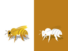 Bee logo vector icon illustration design