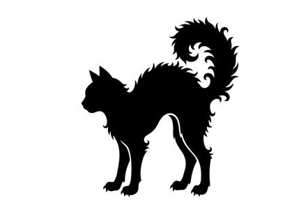 Silhueta de um Gato Curioso com Cauda Felpuda em Fundo Branco