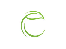 Green leaf  nature element vector logo design