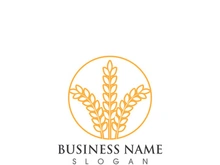 Agriculture wheat logo and symbol vector