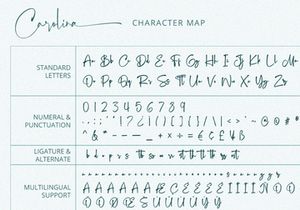 Carolina - Stylish Script Font