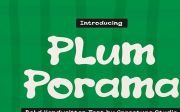 Plum Porama | Bold Handwritten