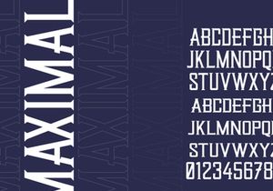 Quarters | Vintage Bold Serif