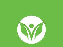 Leaf logo green nature vector image