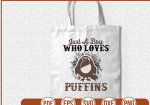 Just A boy Who Loves Puffins