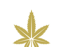 Mariuhana leaf symbol, marijuana or hemp icon, cannabis medical sign, weed drug vector illustration