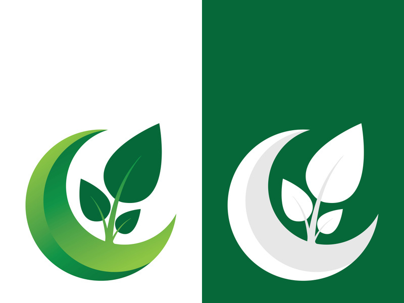 Green tree leaf nature logo images illustration design