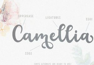 Floristy - Floral Font