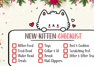 Perfect Christmas - Cute Handwritten Font