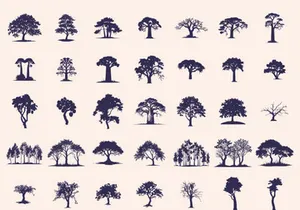 Silhouettes Trees Set, Pine Tree fir pruce cedar white patch alder elm birch ash cypress beech palm tree.
