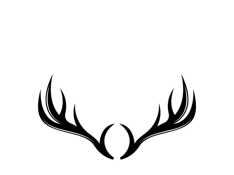 Deer logo template vector icon illustration design