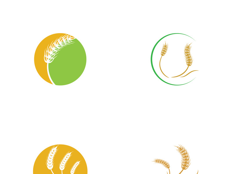 Organic wheat farm logo template.