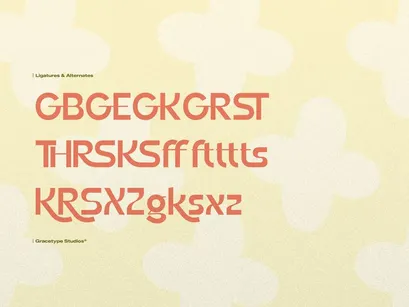 Nemilar | Display Sans Serif