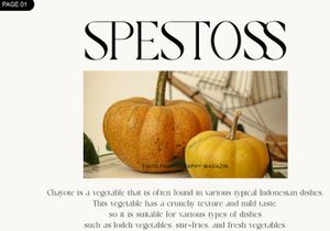 Walkist A New Modern Serif Display