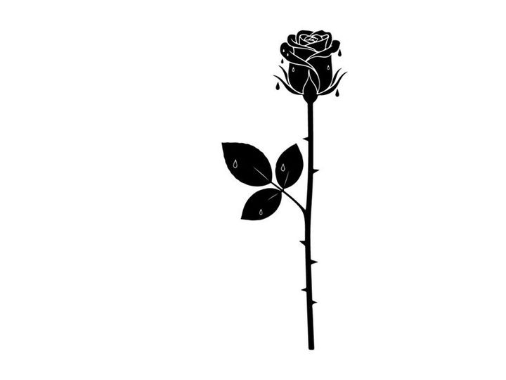 Silhouette of a single black rose on white background
