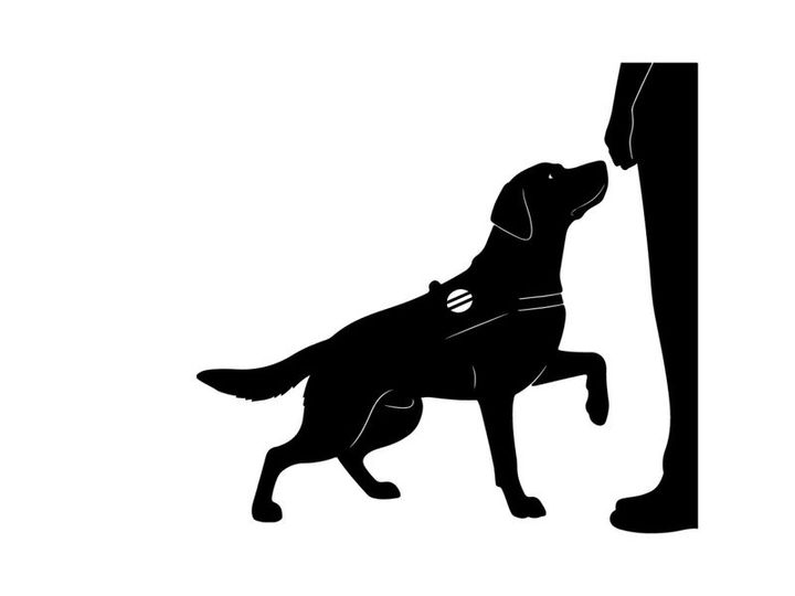 Silhouette of a service dog and its handler in a guiding position