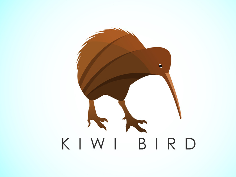 Modern colorful Kiwi bird logo design template vector illustration