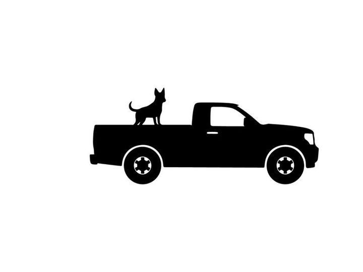 Silhouette of a pickup truck with a dog in the bed