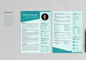 Professional Resume Sadewo
