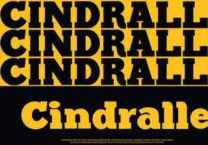 Black Bullet - Serif Font