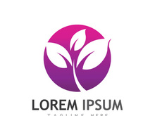 Colorful natural leaf logo design.