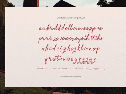 Barrow Waylow | Handwritten Script