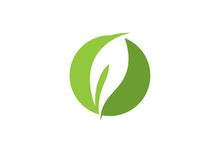 Green leaf logo  Nature icon design