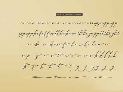 Palmintte | Handwritten Script