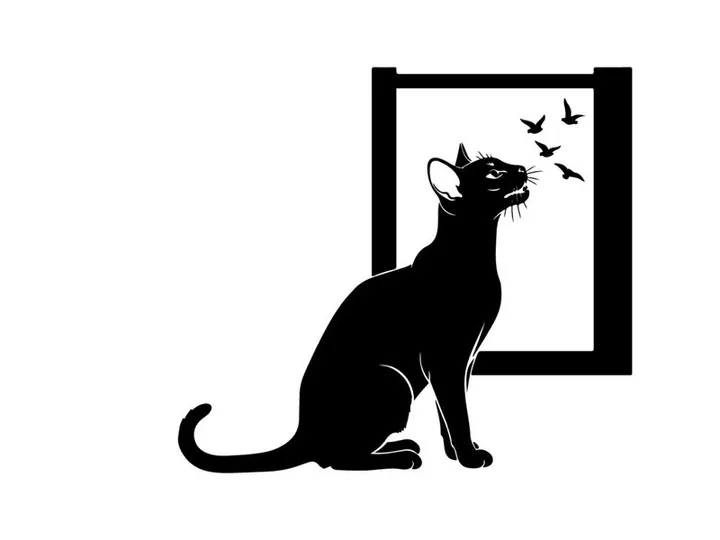 Black silhouette cat looking at birds through a window silhouette