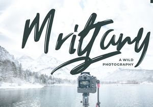 Trackers Handwritten Font