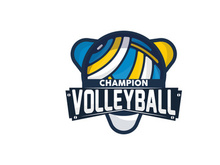 Volleyball Logo, Sport Simple Design, World Sports Tournament Vector