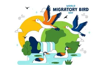 10 World Migratory Bird Day Illustration
