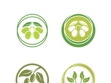 olive icon vector illustration design template
