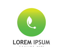 Natural green leaf logo design.