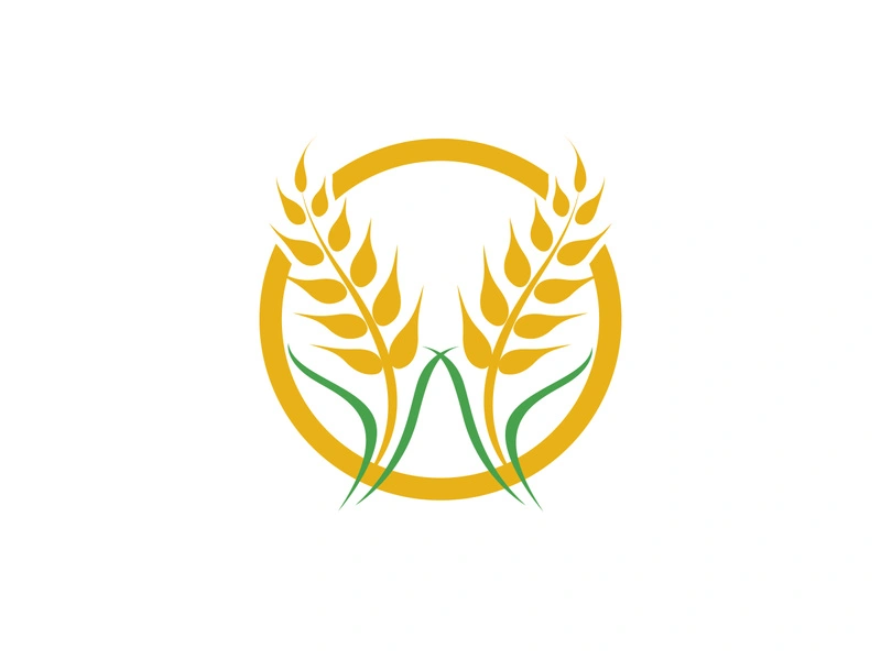 Agriculture wheat vector